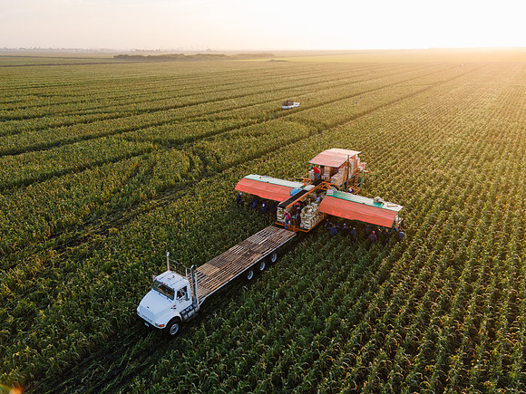 Seminis2022_FL_JEM_1185