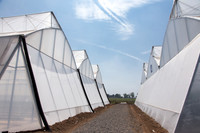Campo_Agropecaurio_MX_0010