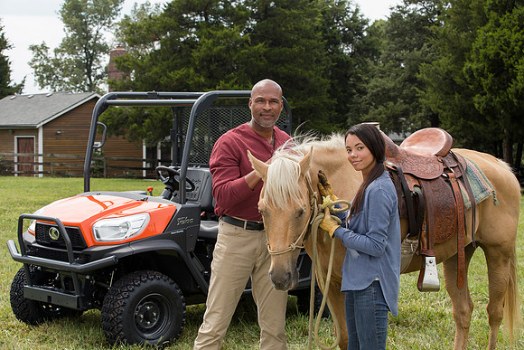 Kubota_RTVX900_CDP2015_0901