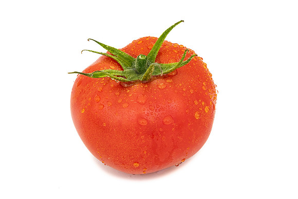 Tomatoes_DRTH1053_79