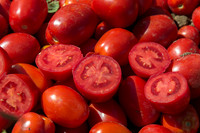 Tomato_SV2493TM_CA_00018