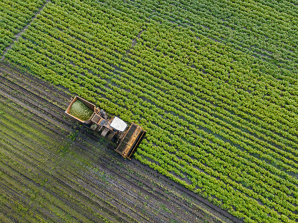 Seminis2022_FL_JEM_3796