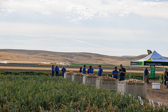 Seminis2022_Idaho_2308