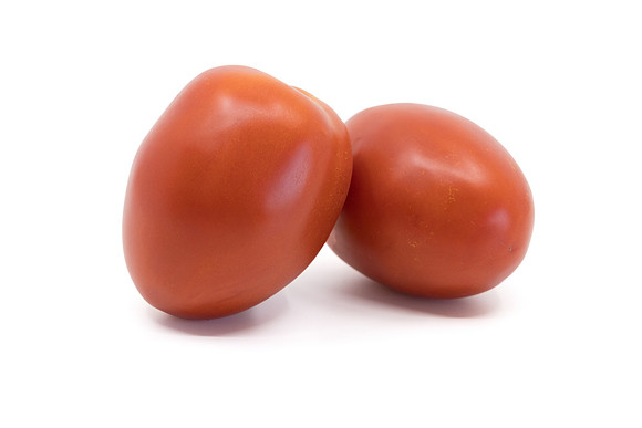 Tomato_N6473_4