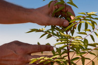 Kerri_165