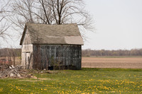 AmericasFarmers_NewDouglasFD_0008