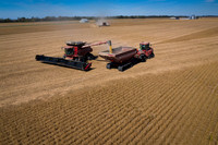 NL_Soybean_Harvest_2019_d_27