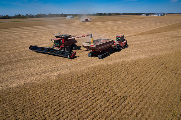 NL_Soybean_Harvest_2019_d_27