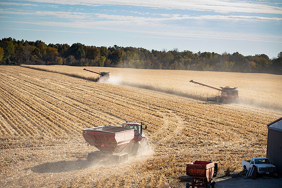 NL_Corn_Harvest_2019_c_330