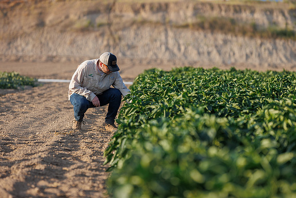 Seminis2022_Idaho_1480