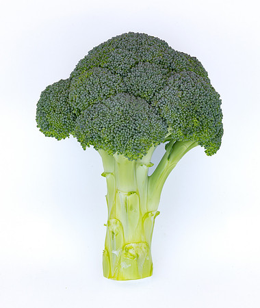 Stratosphere_Brocolli_127