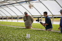 Seminis2022_FowlerPlant_932