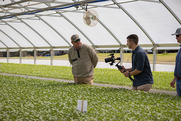 Seminis2022_FowlerPlant_932