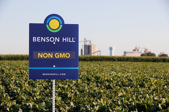 BensonHill_Creston_2022_78