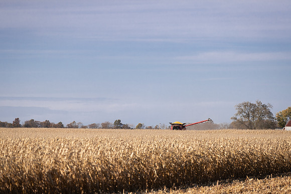NL_Corn_Harvest_2019_c_105