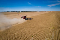 NL_Soybean_Harvest_2019_d_43