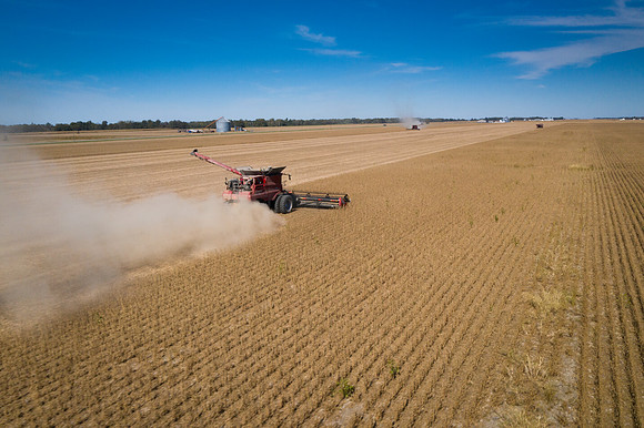 NL_Soybean_Harvest_2019_d_43
