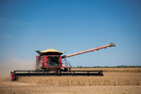 NL_Soybean_Harvest_2019_c_7