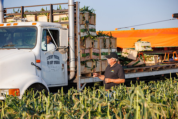 Seminis2022_FL_JEM_954