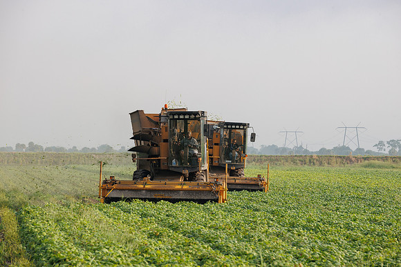 Seminis2022_FL_JEM_3361