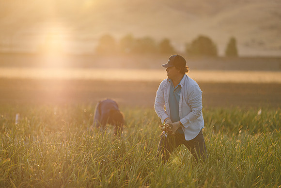 Seminis2022_Idaho_951