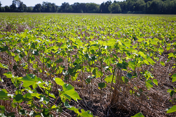 ThryvOn_2022_GriggsFarms_cdp_34