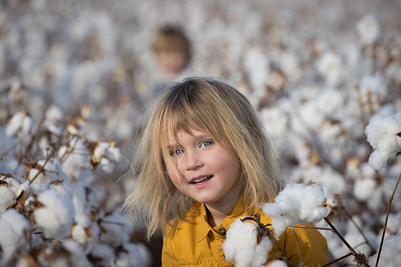 RRXCottonTexas_cdp_2494
