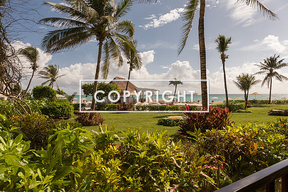 XamanHa7007_102