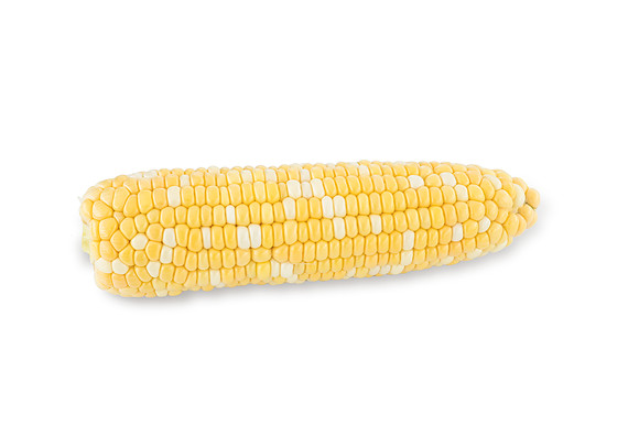 SweetCorn_SVSA7611_45