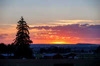 Seminis2022_Idaho_142