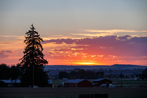 Seminis2022_Idaho_142
