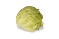 Lettuce_SV8143LG_CA_0068
