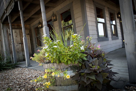 CedarCreek_cdp_0362