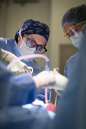 SLUCare_BreastSurgery_305