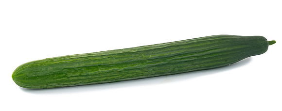 Cucumber_1377_1
