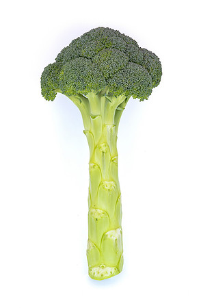 Eiffel_Brocolli_75