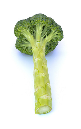 Eiffel_Brocolli_68