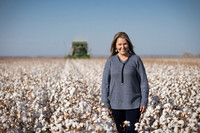RRXCottonTexas_cdp_2319