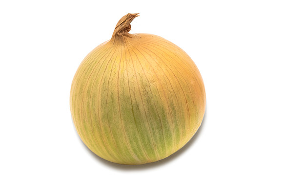 Onion_SVNY1496_3