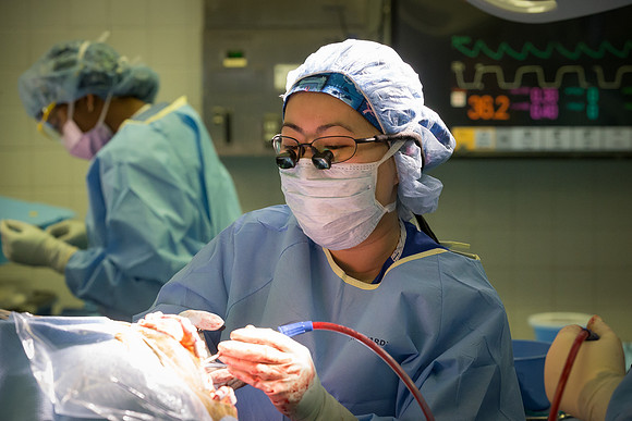 SLU_Neurosurgery_Feb2016_378