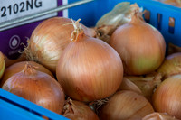 Onion_SV2102NG_CA_0011