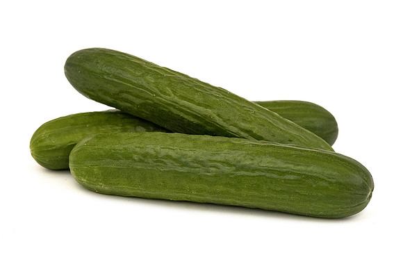 Cucumber_DRCB0142_7