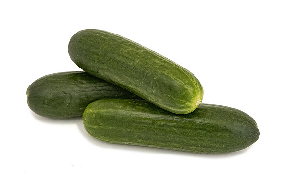 Cucumber_DR7109CB_2026_2