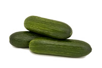 Cucumber_DR7109CB_2026_4