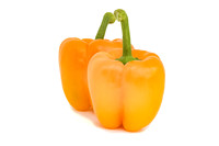 Pepper_DRPB0807_8