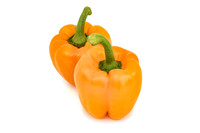 Pepper_Evander_15