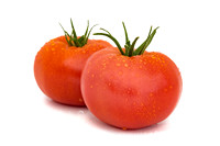 Tomato_24TT7712_22