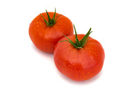 Tomato_24TT7712_24