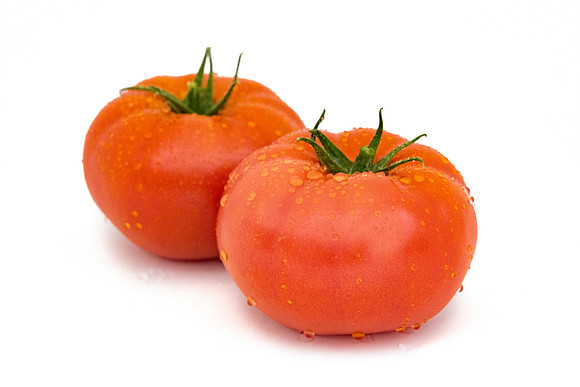 Tomato_24TT7724_19