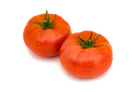 Tomato_24TT7724_16